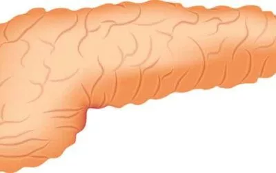 Nutritional Management of Acute Pancreatitis
