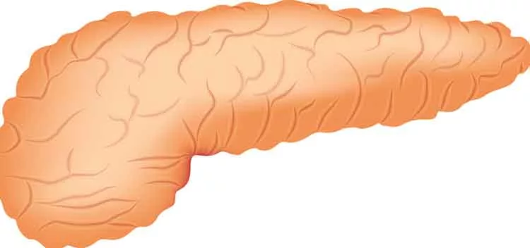 Tratamento nutricional da pancreatite aguda