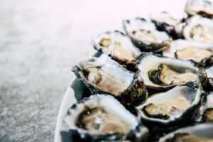 oyster Zinc Rich Food