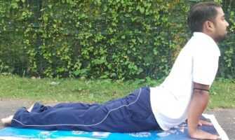 Bhujan-Asana Sphinx Pose