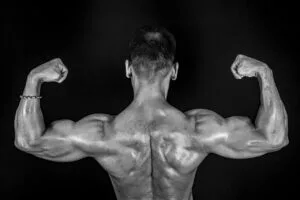 exercise for Muscular and V shape Back