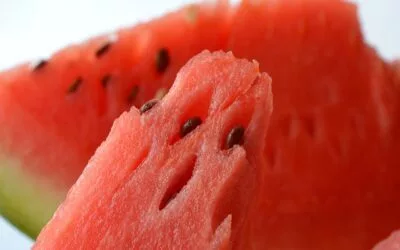 What Are The Health Benefits of Watermelon Seeds Benefits of Watermelon Seeds