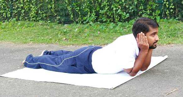 binatang yg hidup di tanah air