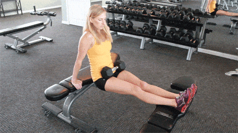 Bench Dips Latihan Biseps senam