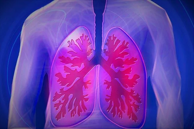 lungs Health Benefits of Red Wine