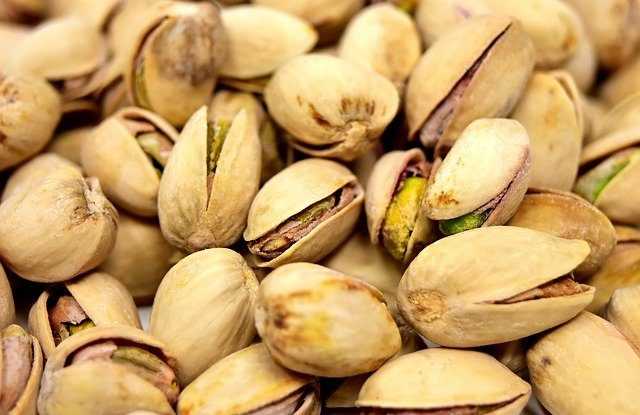 Pistachio Penurunan Berat Badan untuk Vegetarian