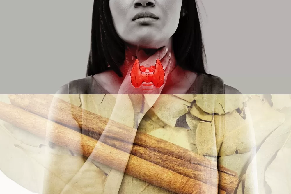 Folhas de louro e canela em hipotireoidismo