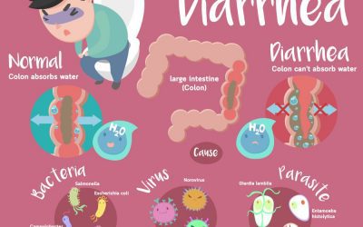 O que é diarreia: causas, sintomas e remédios caseiros O que é diarreia: causas, sintomas e remédios caseiros