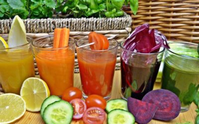 Proses pencernaan, penyerapan dan transportasi nutrisi