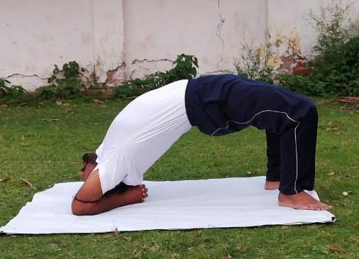 Viprita Dandasana