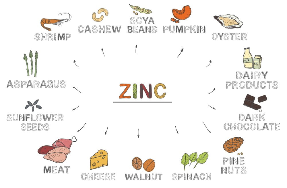 14 alimentos ricos em zinco que aumentam seu poder de imunização