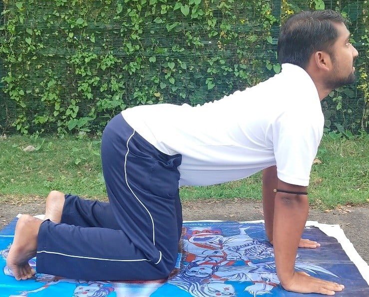 yoga sapi untuk sakit leher