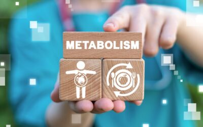 O que é o metabolismo e como funciona?