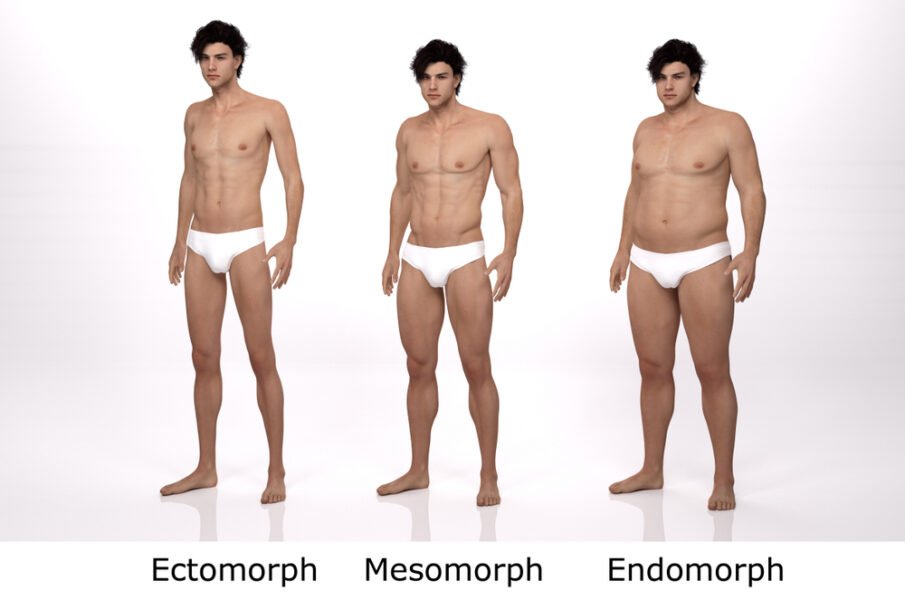 body types