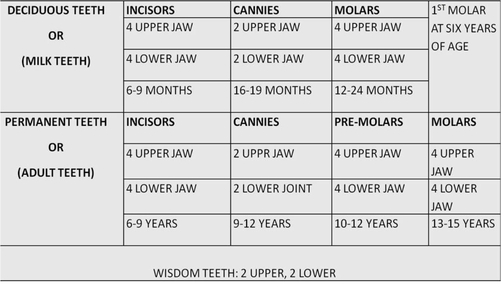 ثوران العمر