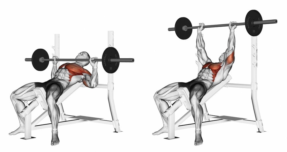 Incline Bench Press with Barbell