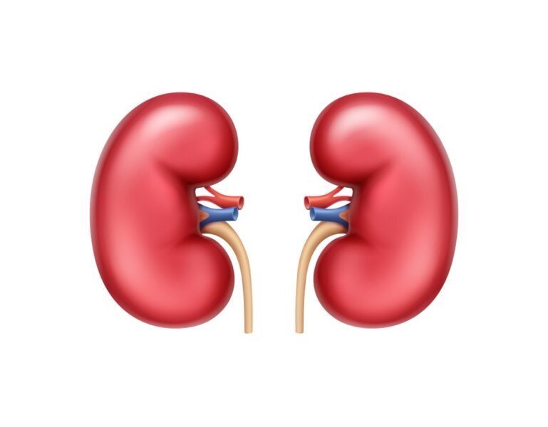 Benefícios para a saúde renal da romã de Solapur