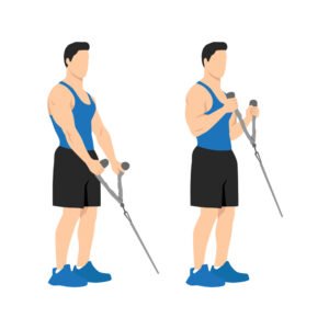 Cable Hammer Curl : Benefits and Steps
