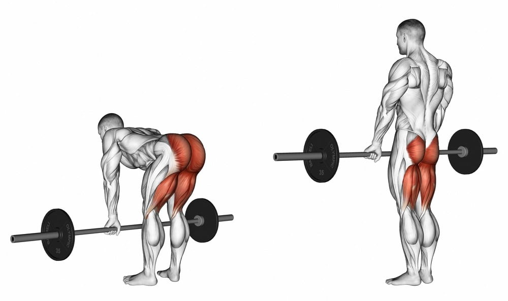 straight leg deadlift