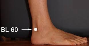 bladder 60 Acupressure Points
