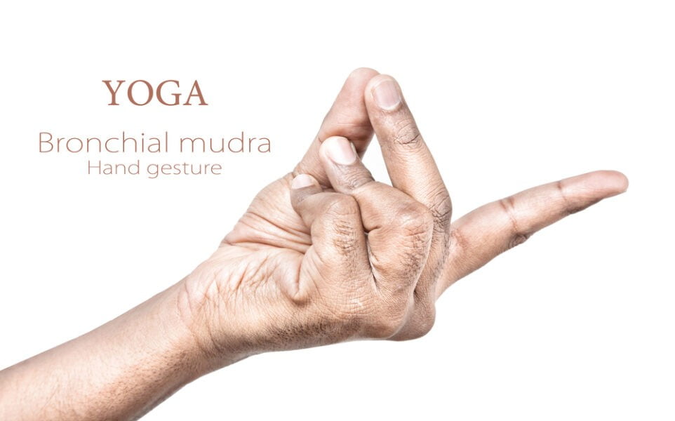 mudra brônquico