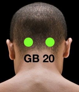 GB20