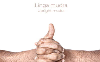 5 yoga mudras eficazes para curar a asma