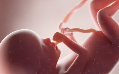 Bagaimana korona mempengaruhi janin bahkan tanpa menginfeksi tali pusat