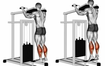 Calf Raise Machine : Seated, Standing And Donkey