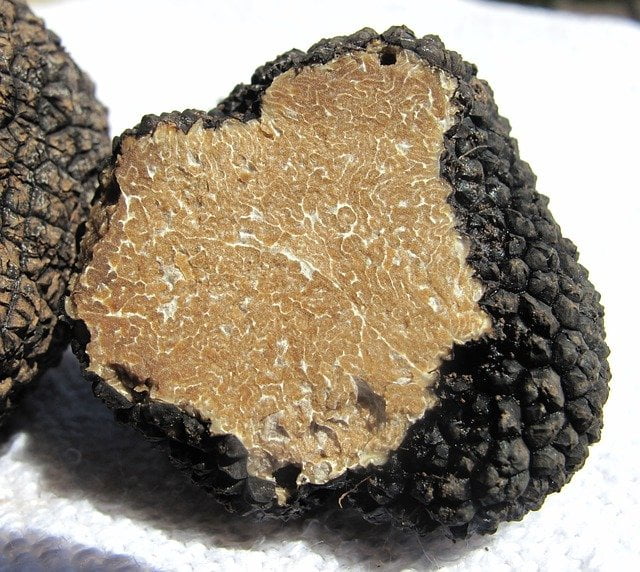 Black Truffle