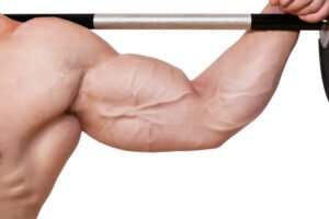 How To Get Bicep Vein in 10 Simple Ways