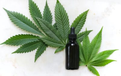 7 Things To Check On The Label Of Your CBD Products