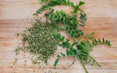 15 Manfaat Teh Kanker Bush dengan Efek Samping dan Resep