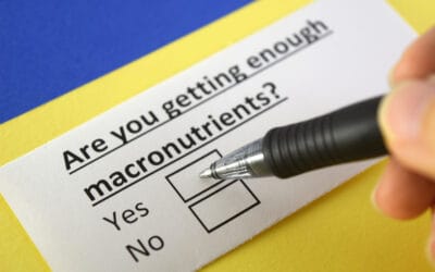 Kalkulator Makro: Panduan Komprehensif