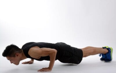 تركيسترون مقابل. ecdysterone: تعرف على أوجه التشابه الرئيسية بينهما