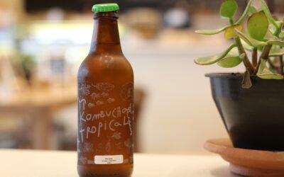 The Surprising Benefits of Drinking Kombucha During Pregnancy