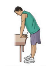 peregangan fleksi pergelangan tangan