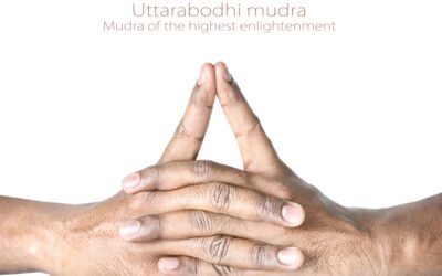 Uttarabodhi Mudra: Asal, Manfaat, Efek Samping dan Cara Melakukannya