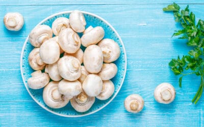 Entendendo seus cogumelos de propriedades exclusivas