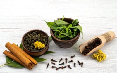 Herbal Ayurvedic untuk Kram Menstruasi