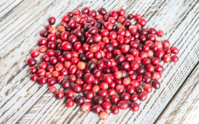 قوة التوت البري: فتح أسرار صحة المرأة