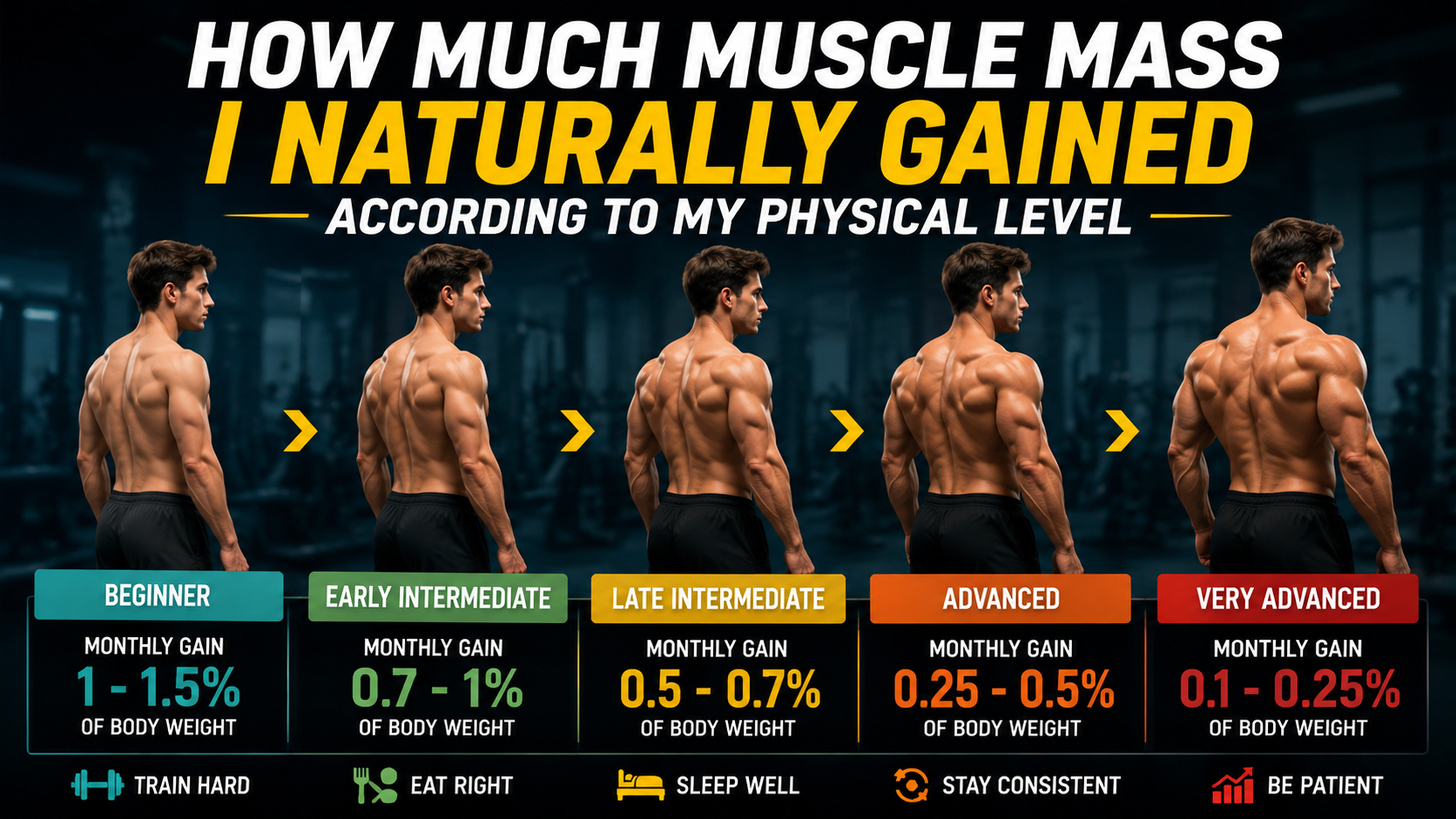 How Much Muscle Mass I Naturally Gained According to My Physical Level