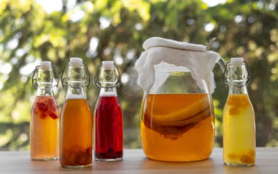 Kombucha Tea