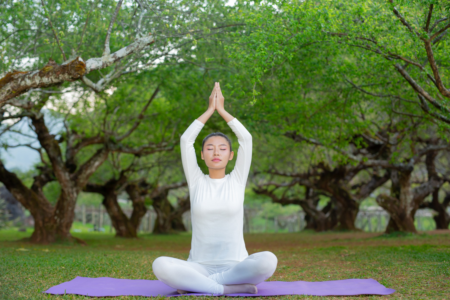 Bug Yoga